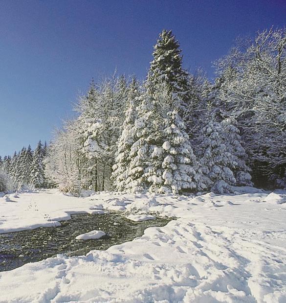 Vakantiepark Wilhelm Tell Superieur Chalet Opglabbeek Bagian luar foto
